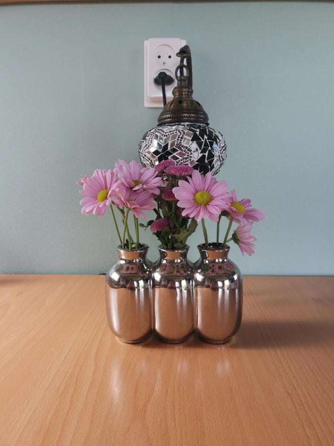Zilver'N Plekkie Zeijen エクステリア 写真
